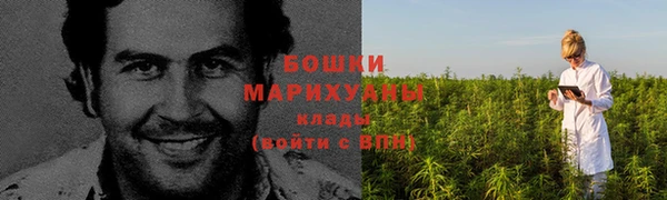 спайс Бородино
