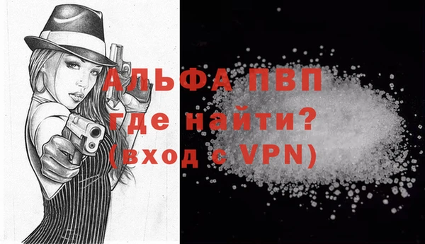 спайс Бородино