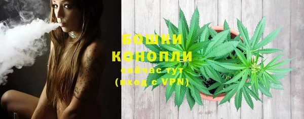 спайс Бородино